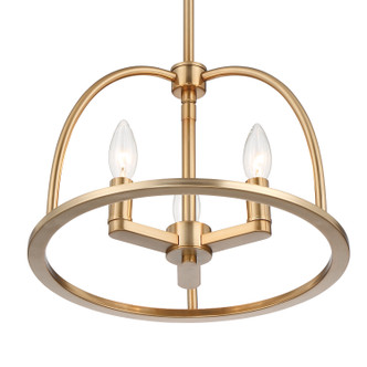 Abbott Three Light Chandelier (ABB-3003-VG)