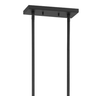 Bailey 12 Light Chandelier (BAI-A2112-MK)