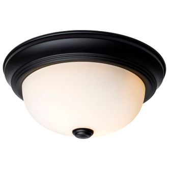 Two Light Flush Mount (60-127)