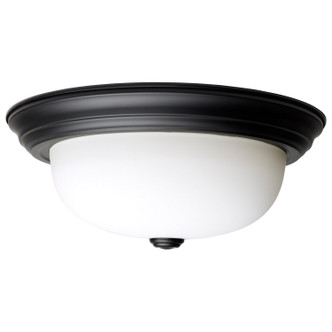 Two Light Flush Mount (60-128)