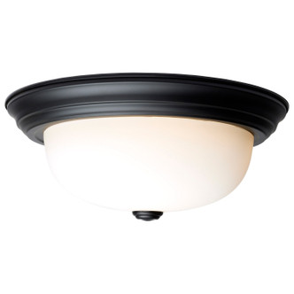 Two Light Flush Mount (60-128)