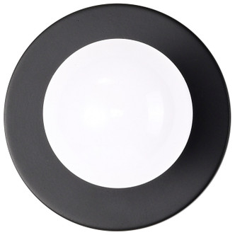 Dual Surface Mount One Light Dual Surface Mount (60-4804)