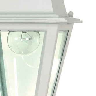 Briton One Light Hanging Lantern (60-487)