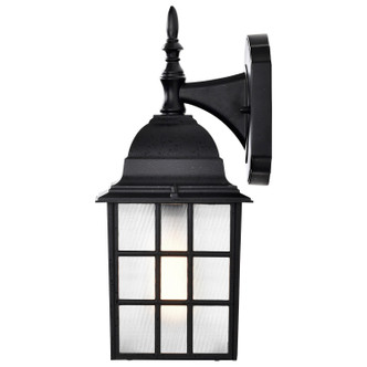 Adams One Light Wall Lantern (60-4906)