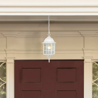 Adams One Light Hanging Lantern (60-4911)