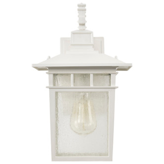 Cove Neck One Light Wall Lantern (60-4957)