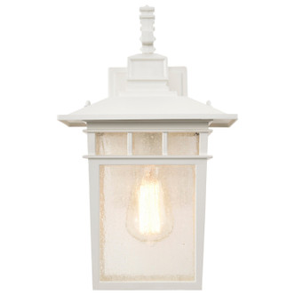 Cove Neck One Light Wall Lantern (60-4957)