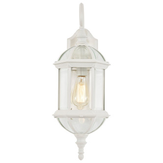Boxwood One Light Wall Lantern (60-4971)
