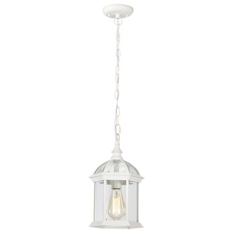 Boxwood One Light Hanging Lantern (60-4977)