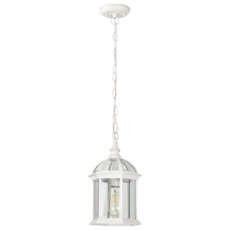 Boxwood One Light Hanging Lantern (60-4977)