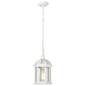 Boxwood One Light Hanging Lantern (60-4977)