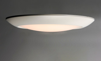 Diverse LED Flush Mount (57851WTWT)
