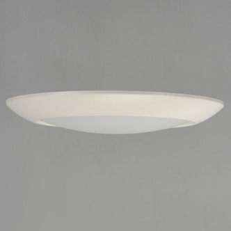 Diverse LED Flush Mount (57863WTWT)