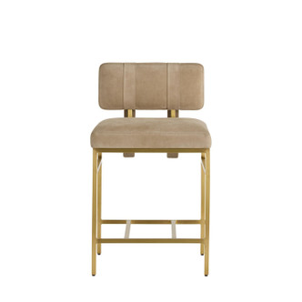 Laney Counter Stool (FSI27)