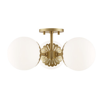 manufacturer_finish:Aged Brass