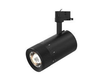 Eurofase - 39714-35-01 - LED Track Head - Focus - Black