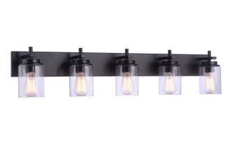 Reeves Five Light Vanity (17441FB5)