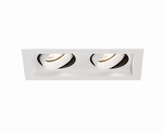 Baby Tango LED Recessed Multiple (BTGO2T02FG535WCL)