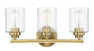 Bolden Three Light Vanity (50503-SB)