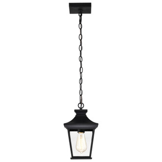 Jasper One Light Outdoor Hanging Lantern (60-5746)