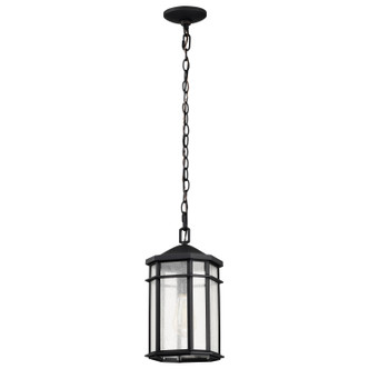 Raiden One Light Outdoor Hanging Lantern (60-5759)