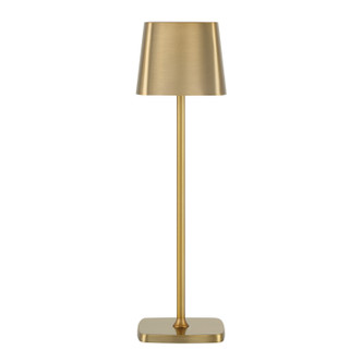 manufacturer_finish:Soft Brass|manufacturer_glass:Soft Bass