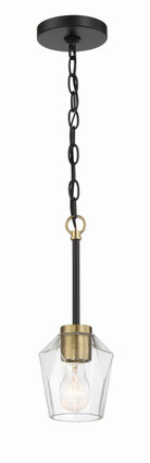 Avante Grand One Light Mini Pendant (56991-FBSB)