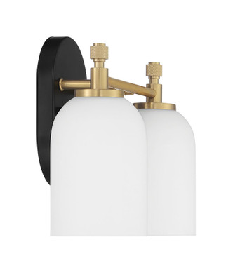 Council Two Light Vanity (60302-FBSB)
