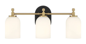 Council Three Light Vanity (60303-FBSB)