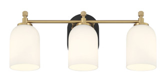 Council Three Light Vanity (60303-FBSB)