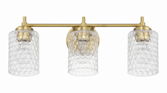 Claire Three Light Vanity (60503-SB)