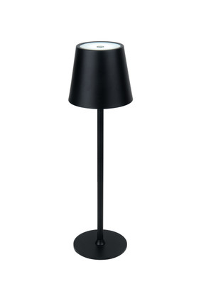 Evans LED Rechargeable Lamp (86290FB-TR)