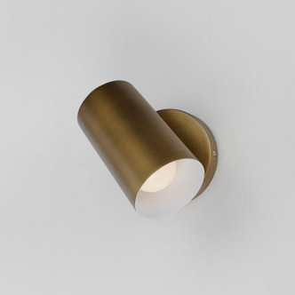 Spot Light LED Outdoor Wall Sconce (62001NAB)