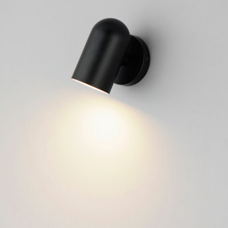 Spot Light LED Outdoor Wall Sconce (62003BK)