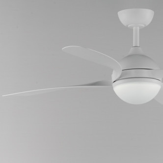 Bola 52" Ceiling Fan (88811WT)