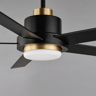 Daisy 60" Ceiling Fan (88826BKGLD)