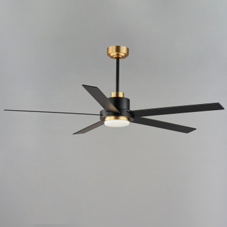 Daisy 60" Ceiling Fan (88826BKGLD)