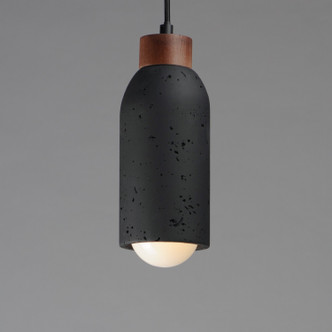 Pompeii One Light Pendant (90621LVBK)