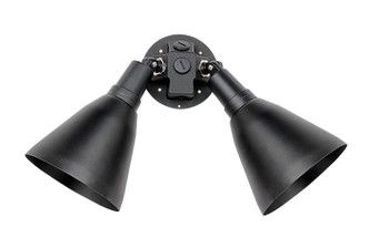 Spots Two Light Outdoor Wall Lantern (92006BK)