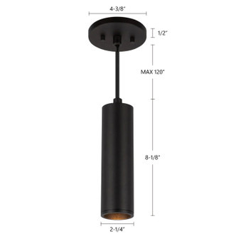 manufacturer_finish:Black