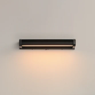 Braque LED Picture Light (E21491-BK)