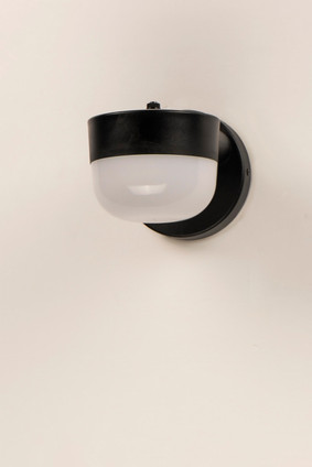 Michelle LED Outdoor Wall Sconce (51116FTBK)