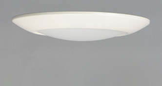 Diverse LED Flush Mount (57641WTWT)