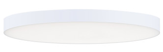 Maxim - 57670WTWT - LED Flush Mount - Trim - White