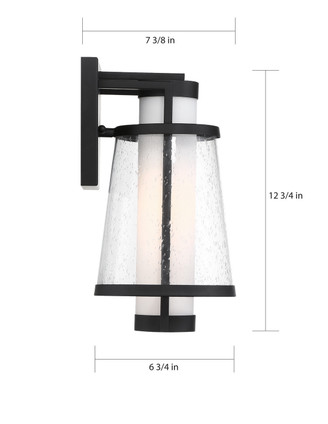 Anau One Light Outdoor Wall Lantern (60-6601)