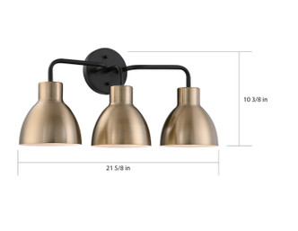 Sloan Three Light Vanity (60-6793)