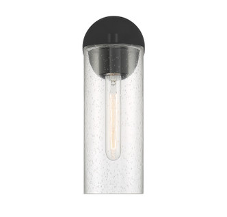 Ricci One Light Wall Sconce (V6-L9-2460-1-89)
