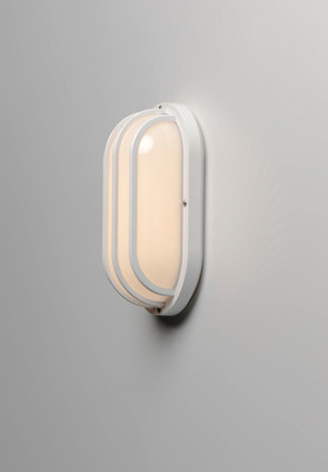 Bulwark One Light Outdoor Wall Lantern (10110FTWT)