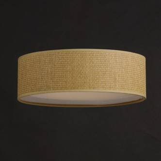 Prime LED Flush Mount (10230GC)
