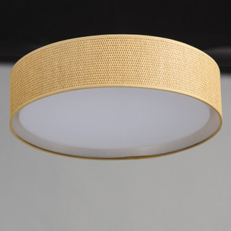Prime LED Flush Mount (10232GC)